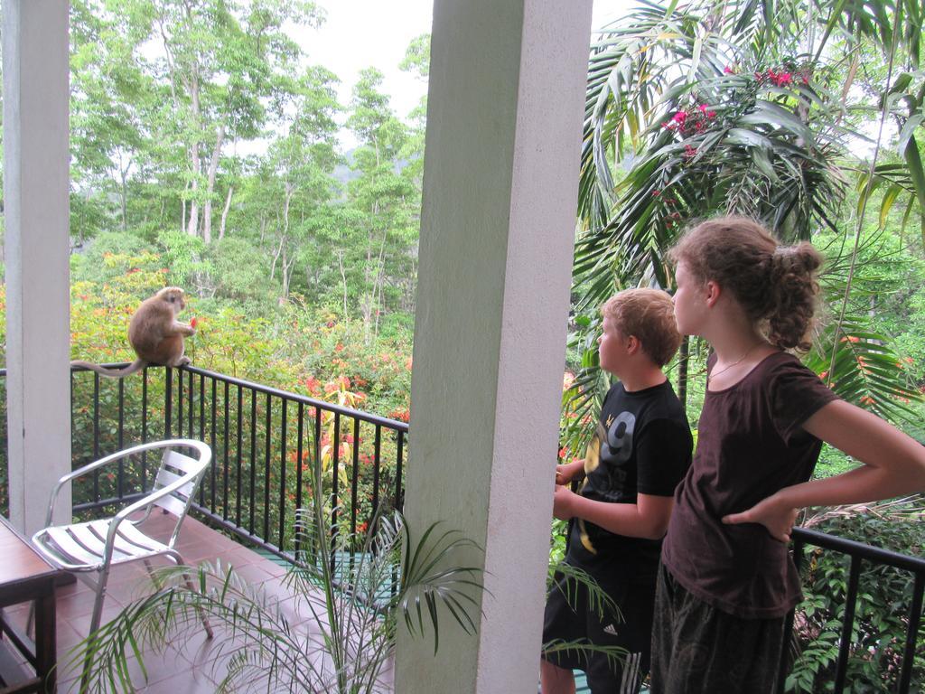Hanthana Holiday Rooms Kandy Eksteriør billede